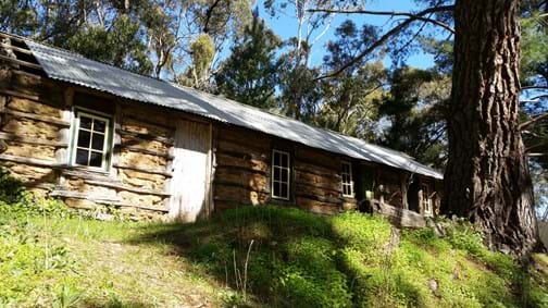 The Pioneers: Hills History