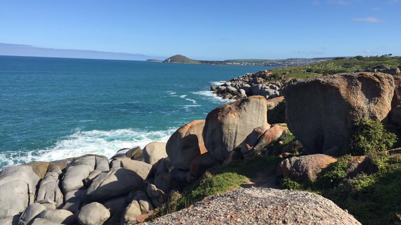 From Whales to Flinders & Baudin